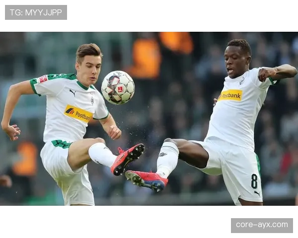 德甲门兴球迷狂热