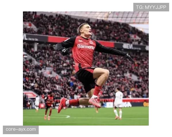 德甲转会情况回顾 德甲转会情况回顾