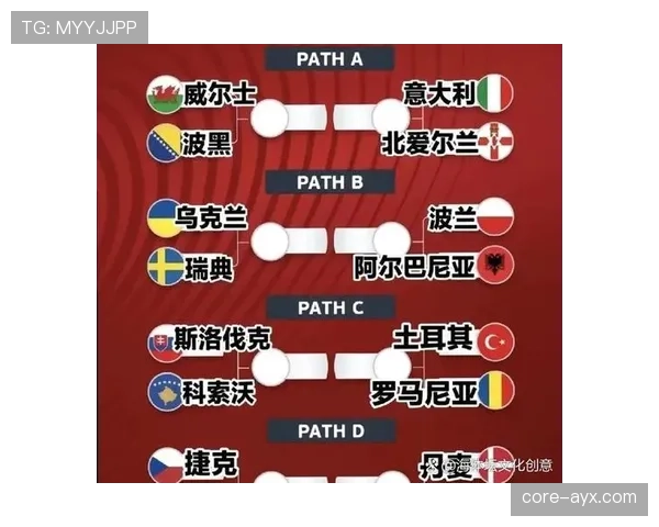 波黑队2026世界杯首次回归前景预测